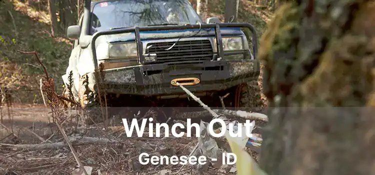 Winch Out Genesee - ID