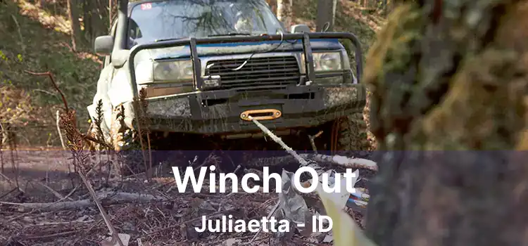 Winch Out Juliaetta - ID