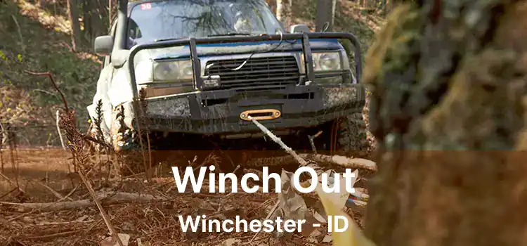 Winch Out Winchester - ID